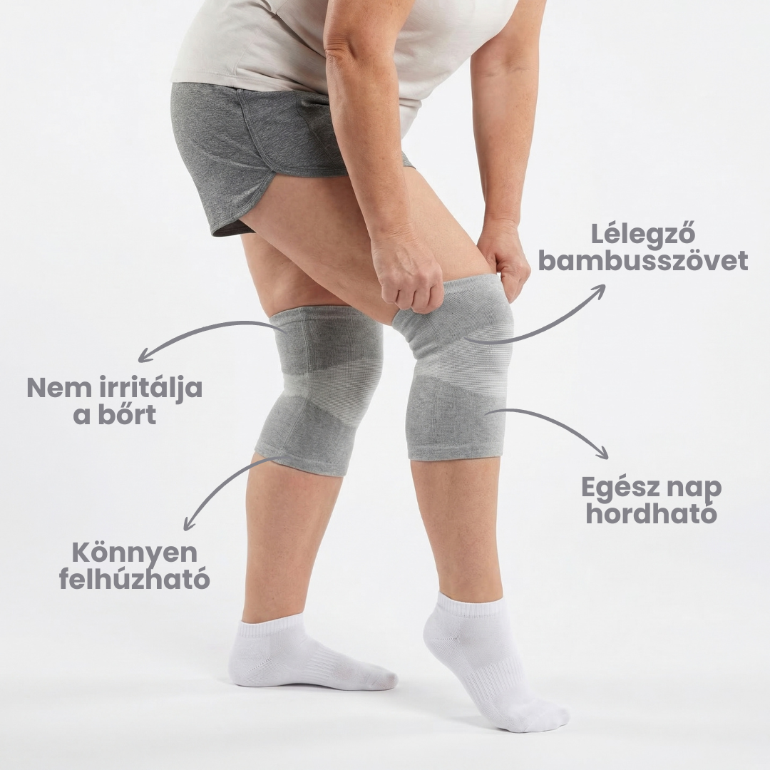 bambuszterdmerevito